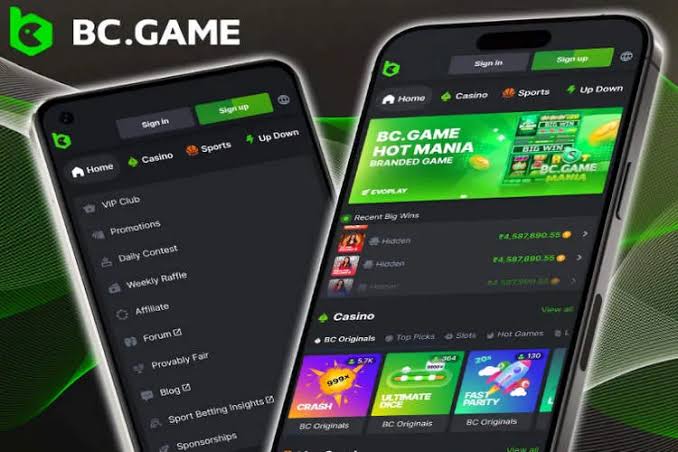 BC.Game Crypto Casino The Future of Online Gaming in Argentina