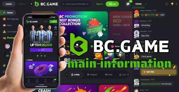 Unlocking the Fun A Deep Dive into BC.Game Platform